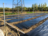 Orinko Eco-friendly Biodegradable Pla Raw Materials for Mulch Film